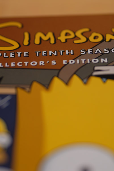 Simpsons Season 10
