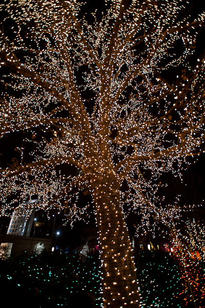 Temple Square